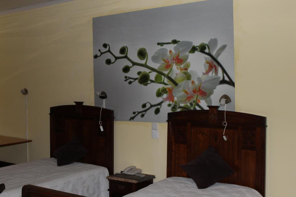 Hostel Avenida كويمبرا المظهر الخارجي الصورة